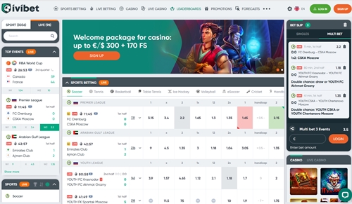 Copy of the site home page